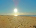 Landes 29-11-2010